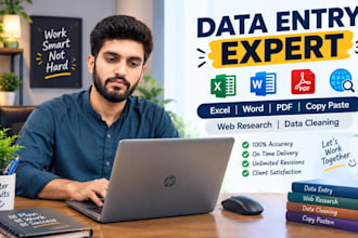 be your data entry expert and data cleaning