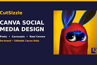 design canva social media posts, carousels and reel covers