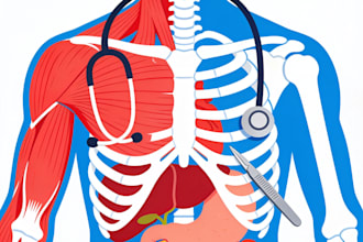 draw anatomy and medical vector illustration