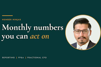 run your monthly financial reporting as your fractional cfo