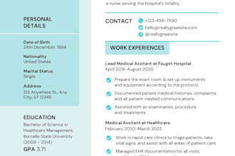 build resume, CV for IT, healthcare, nursing, tech sales, project management