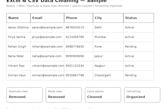 clean and format excel and CSV data professionally