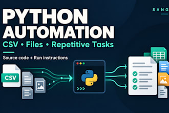 automate CSV and file processing with a custom python script
