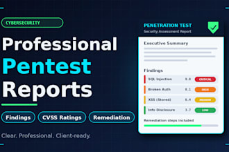 write a professional pentest report