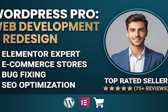 design redesign wordpre website, website development as a full stack de