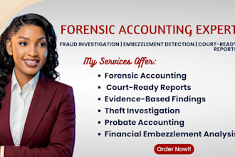 investigate financial fraud, perform forensic accounting, and divorce accounting