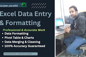 do professional excel messy data, cleaning formatting, merging