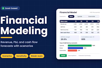 build a professional financial model in excel