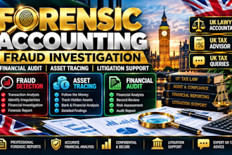 be your forensic accountant for fraud detection asset tracing litigation support