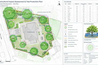 draw tree survey tpp tcp aia rpa bs5837 arboricultural site planning protection