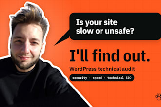 audit your wordpress site for security, performance and technical SEO