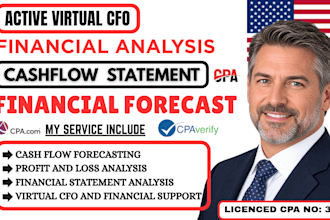 virtual cfo cashflow statement financial budget or forecast, financial analysis