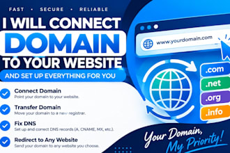 connect domain, transfer domain, fix dns and redirect to any website