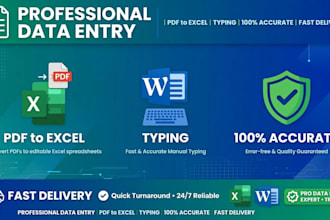 do fast and accurate data entry excel typing and pdf to excel work