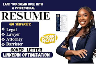 do professional lawyer legal attorney law school barrister paralegal resume CV
