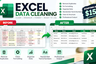 clean and organize messy excel spreadsheets