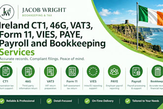 do ireland ct1, 46g, vat3, form 11, vies, paye, payroll and bookkeeping services