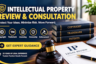 provide comprehensive copyright, trademark and IP document review