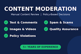 provide professional content moderation and trust and safety services