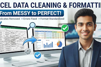 professional data cleaning , formatting and processing