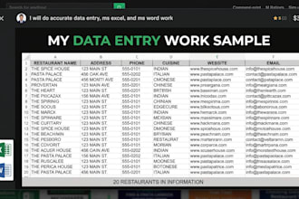 do professional data entry, excel data cleanup, and word document formattin