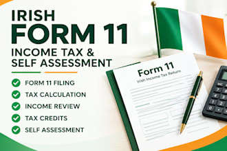 file irish form 11 income tax and self assessment return