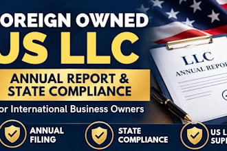 handle foreign owned US llc annual report and state compliance