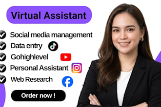 be personal assistant executive adhd gohighlevel virtual assistant social media
