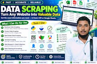extract and organize web data from websites into excel