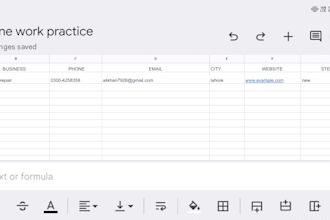 do accurate deta entry, copy paste and google sheet work