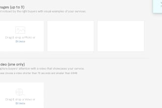 do bulk data entry projects