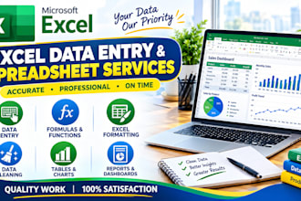 do urgent microsoft excel, ms word assignments, projects and modules