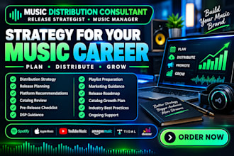 be your music distribution consultant, release strategist and music manager