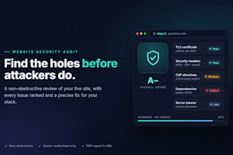 audit your website security and deliver a clear fix report