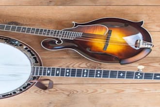 play record fiddle, mandolin, or banjo for country music