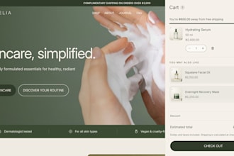 build a high converting shopify page