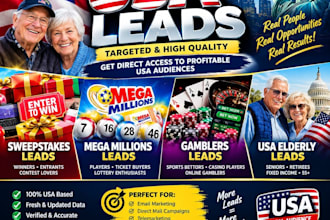 provide sweeps leads, elderly, first hit, senior USA leads, mega million, leads
