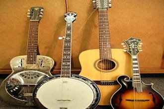 record provide violin, banjo, electric guitar, mandolin, ukulele, for track