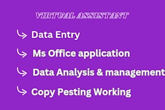 be your virtual assitant for data entry services