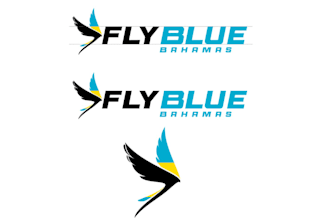 design a luxury charter airline logo for your aviation business