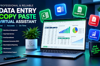 do professional data entry and copy paste work