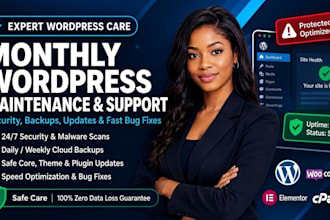 provide monthly wordpress website maintenance,security updates,technical support