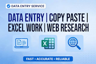 do data entry ,copy past ,excel work and web research accurately