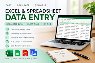 do accurate data entry and spreadsheet formatting