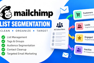 do mailchimp list management, automation, newsletter segment and email marketing