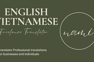 provide professional english to vietnamese translation