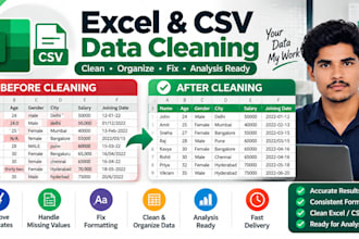 clean and preprocess your excel or CSV data
