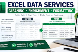 do excel data enrichment, data cleaning, and formatting
