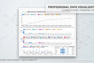 be your professional junior data analyst