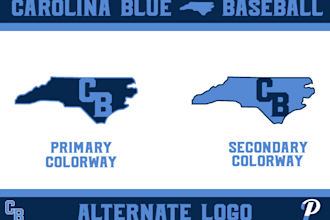 design your youth baseball team